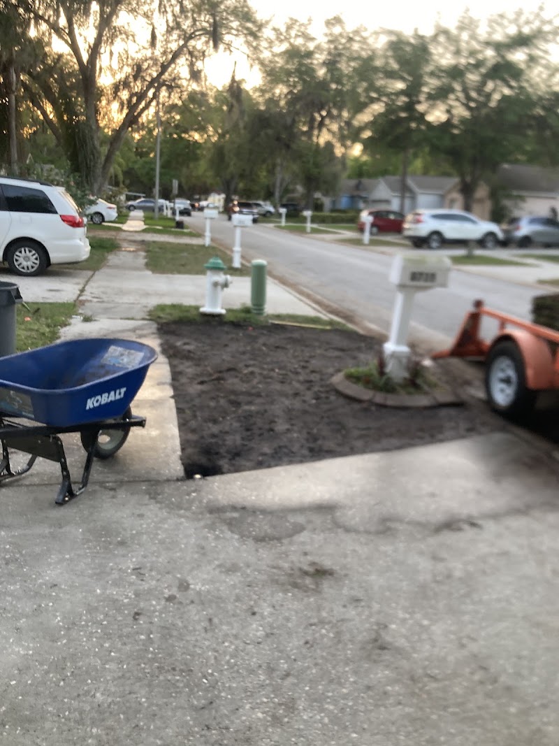 David's lawn care at work