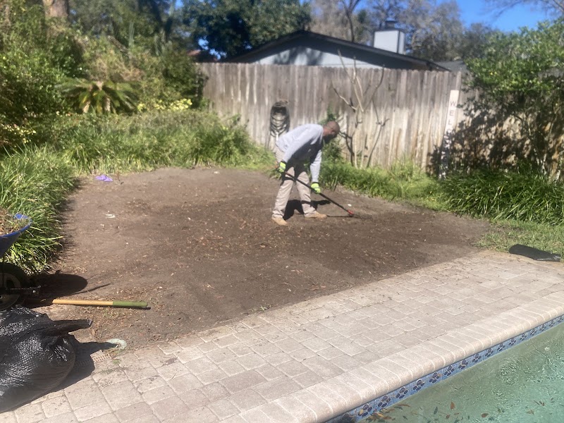 David's lawn care at work